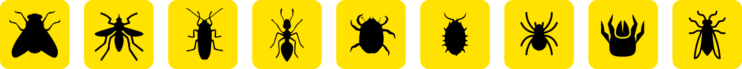 tira de insectos